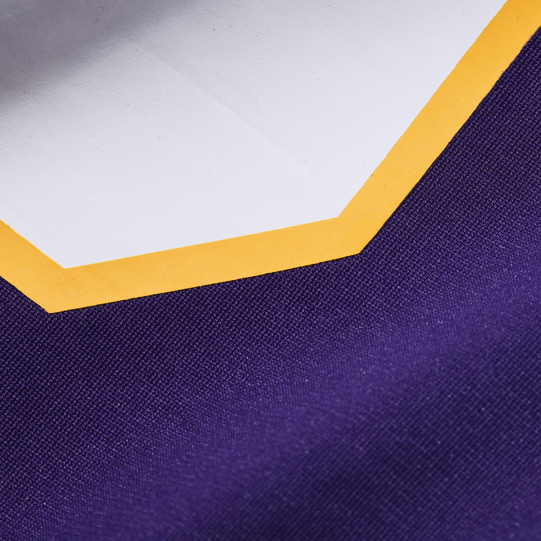 Adrian Peterson Minnesota Vikings Alternate 2 Classic Retired Game Jersey - Purple