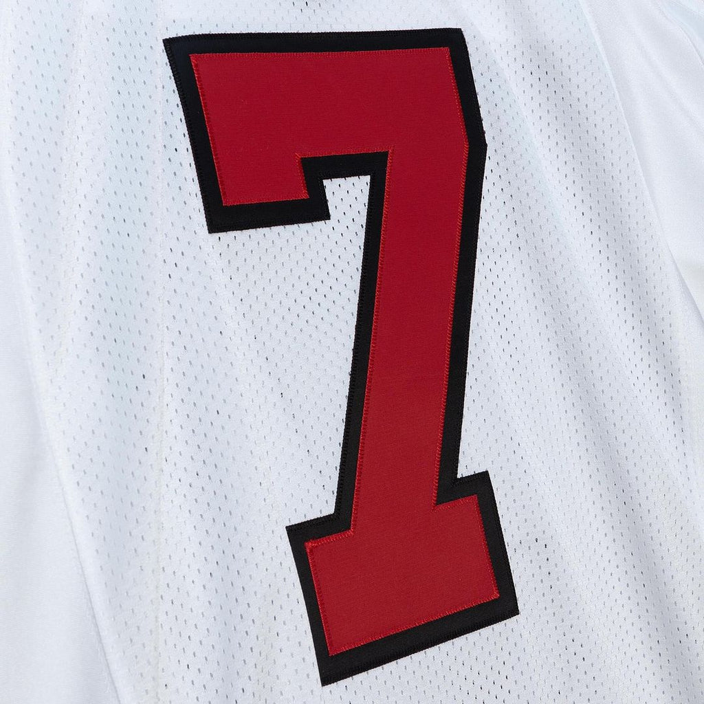 Michael Vick Atlanta Falcons 2003 Authentic Throwback Retired Player Jersey - Red