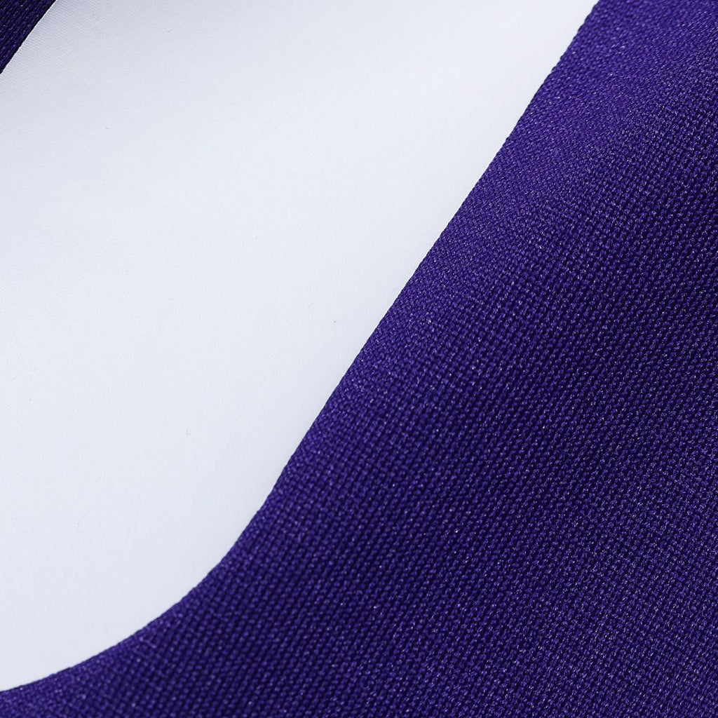 Andrew Van Ginkel Minnesota Vikings Team Game Jersey - Purple